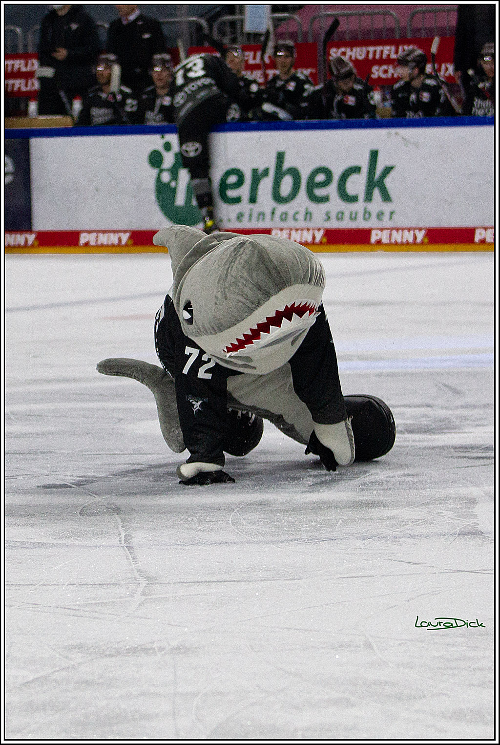 PENNY DEL;  Koelner Haie - Adler Mannheim; Koeln, 08.04.2021